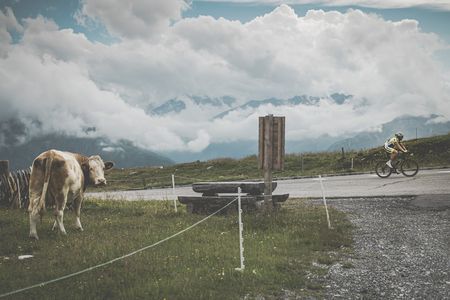 © Hausdorfer | lime-art.at